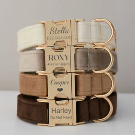 Stylish Comfort Dog Collar