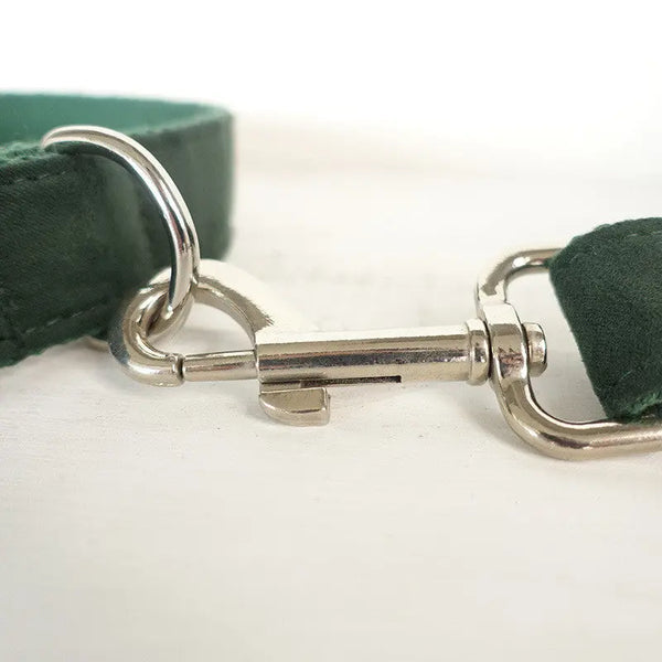 Elegant Pet Collar Set