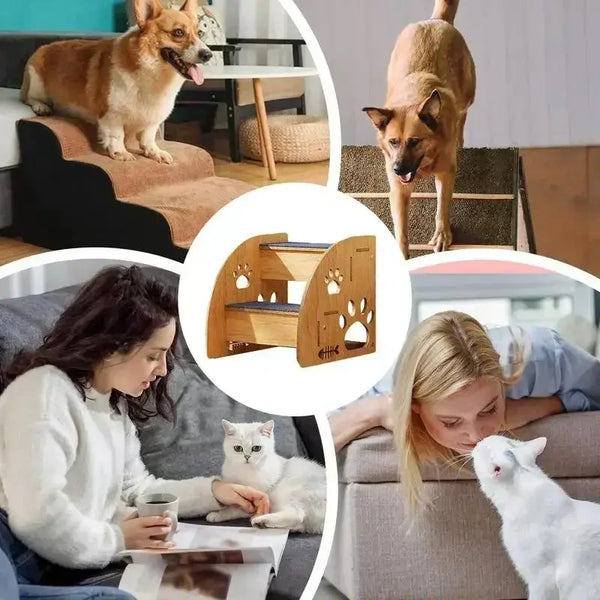 Comfort Steps for Pets