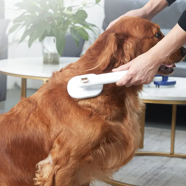 Pet Hair Remover Comb 